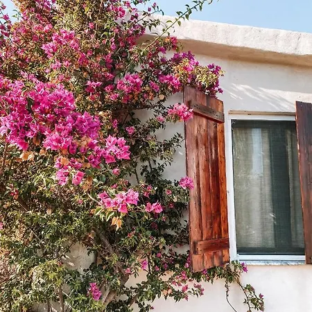 Gladyr Apartmán Lotzorai