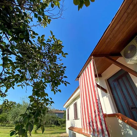 Διαμέρισμα Gladyr