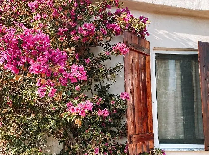 Gladyr Apartman Lotzorai